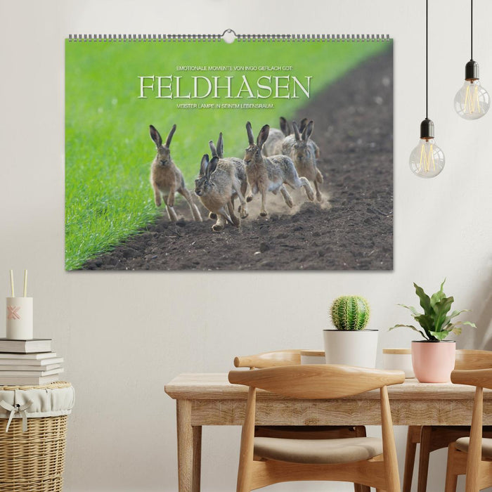 Emotionale Momente: Feldhasen (CALVENDO Wandkalender 2024)