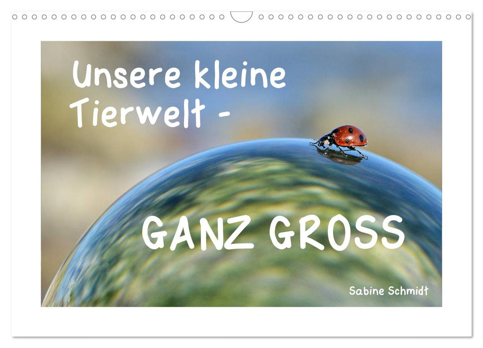 Unsere kleine Tierwelt - GANZ GROSS (CALVENDO Wandkalender 2024)