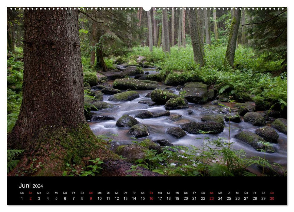 Märchenkulissen - Landschaften der Oberpfalz (CALVENDO Premium Wandkalender 2024)