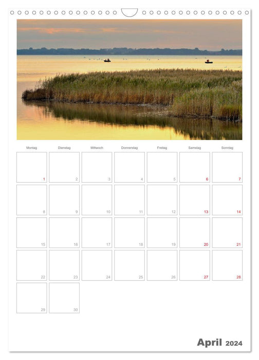 Insel Rügen / Planer (CALVENDO Wandkalender 2024)