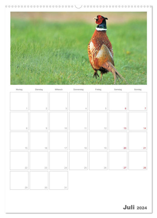 Deer &amp; Co / Planner (Calendrier mural CALVENDO 2024) 