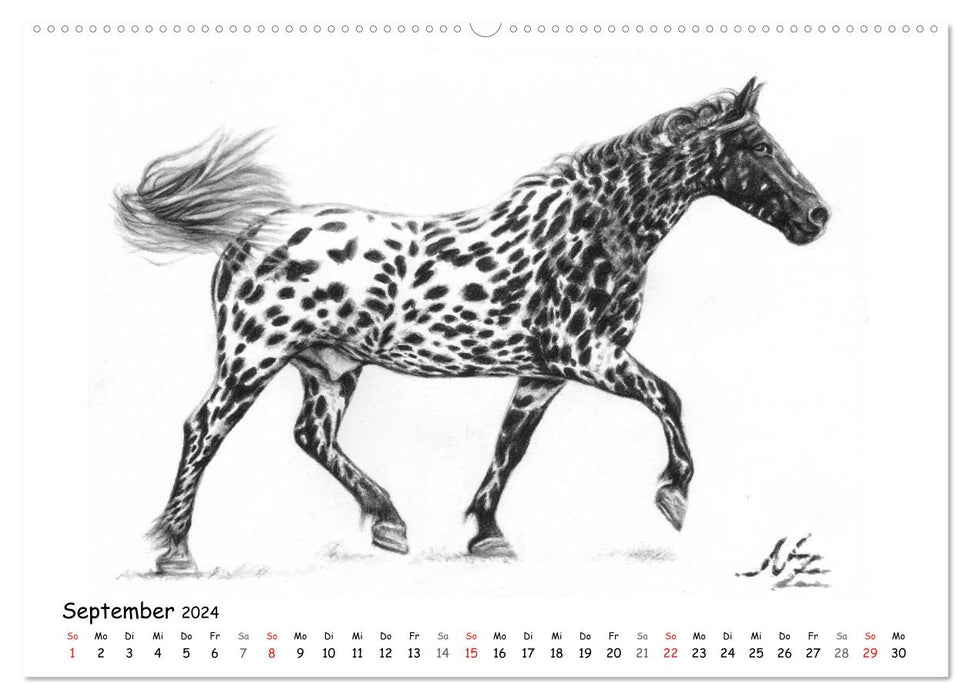 Charcoal Drawings (CALVENDO Wandkalender 2024)