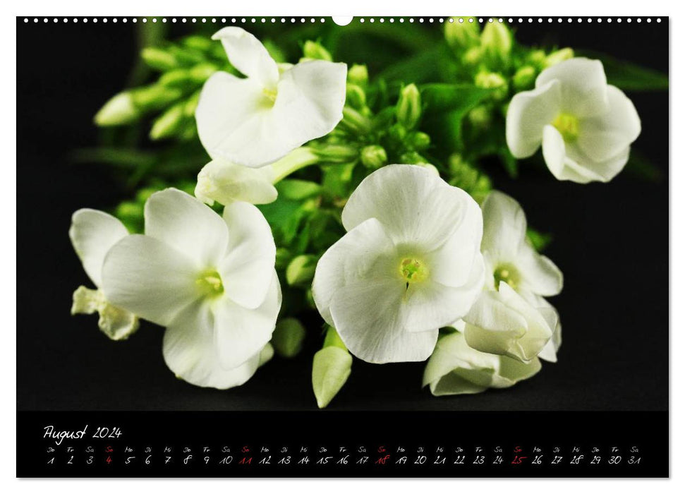 Flower (CALVENDO Wandkalender 2024)