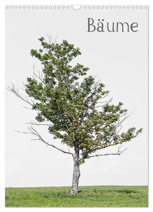 Bäume (CALVENDO Wandkalender 2024)