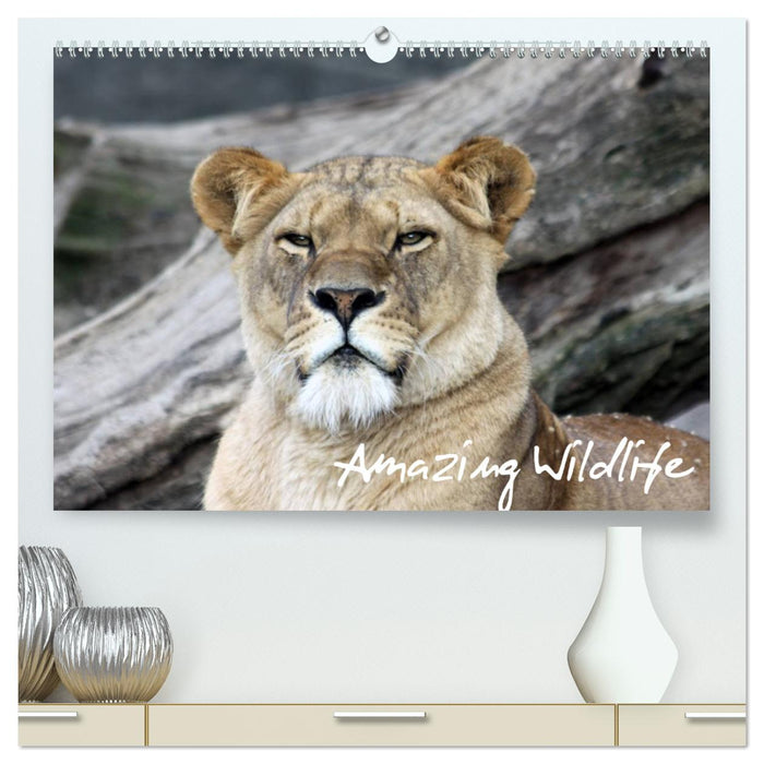 Amazing Wildlife (Calendrier mural CALVENDO Premium 2024) 