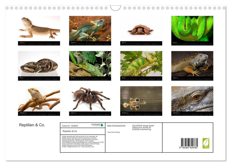 Reptilien & Co. (CALVENDO Wandkalender 2024)