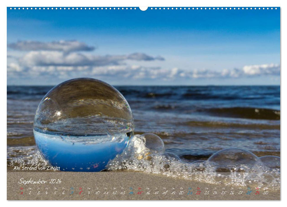 Natur und Glas (CALVENDO Premium Wandkalender 2024)
