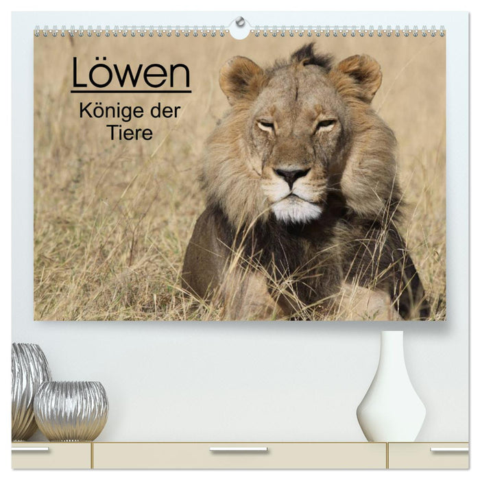 Lions - Rois des Animaux (Calendrier mural CALVENDO Premium 2024) 