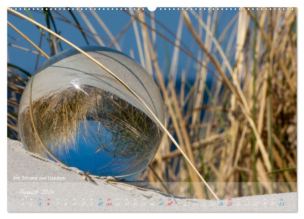 Natur und Glas (CALVENDO Wandkalender 2024)