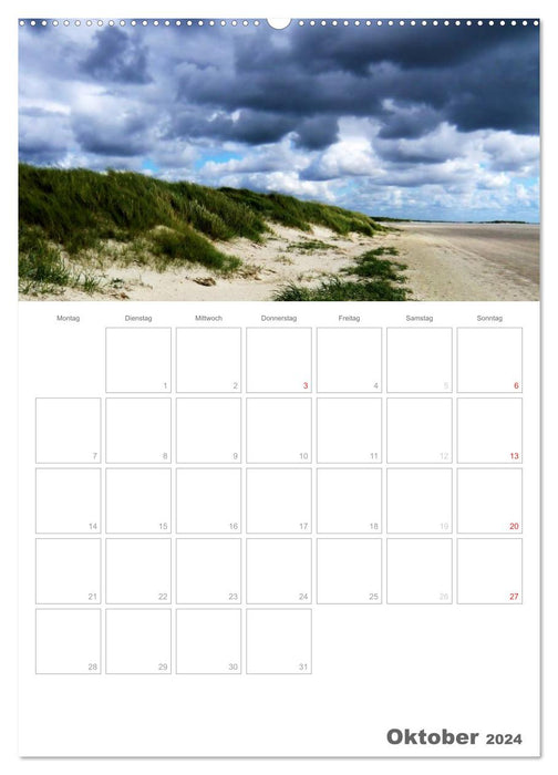 Dänemarks Westküste (CALVENDO Premium Wandkalender 2024)