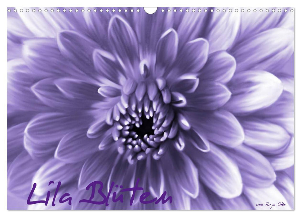 Lila Blüten (CALVENDO Wandkalender 2024)