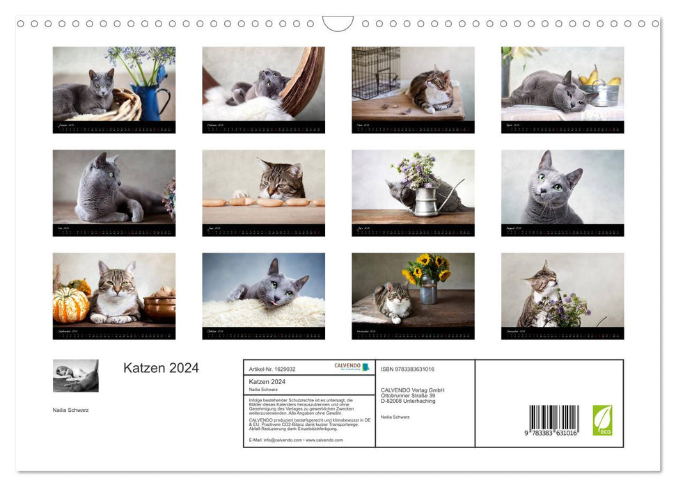 Katzen 2024 (CALVENDO Wandkalender 2024)