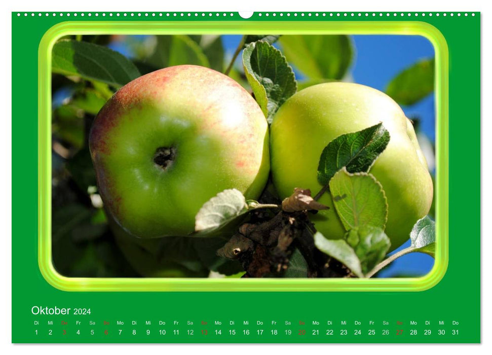 Apfel (CALVENDO Wandkalender 2024)