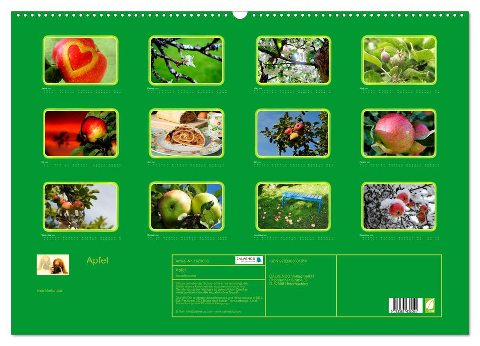 Apfel (CALVENDO Wandkalender 2024)