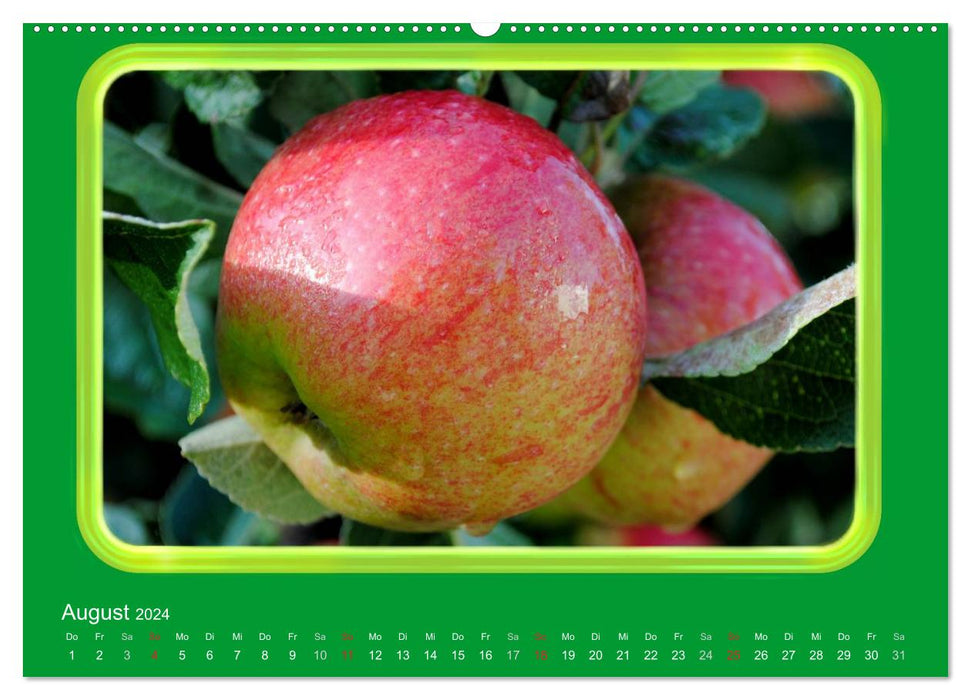 Apfel (CALVENDO Wandkalender 2024)