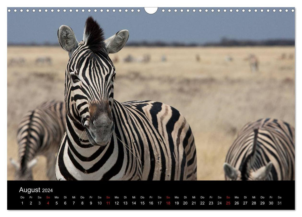 Wildlife Namibia (CALVENDO Wandkalender 2024)