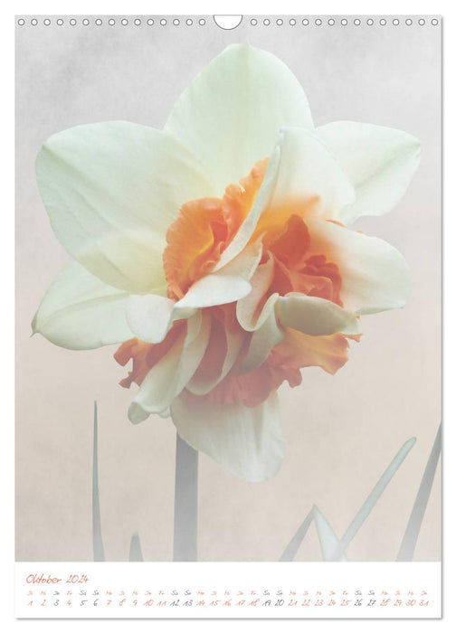 pastel flower collection (CALVENDO Wandkalender 2024)