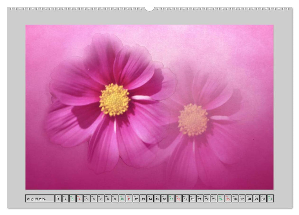 Blüten Impressionen (CALVENDO Wandkalender 2024)