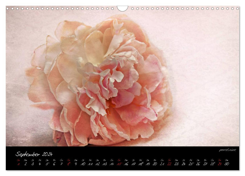Blütenromantik (CALVENDO Wandkalender 2024)