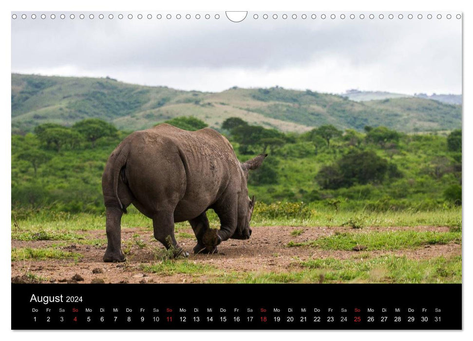 Südafrika (CALVENDO Wandkalender 2024)