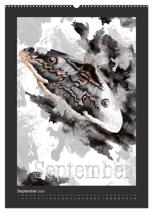 Papillon Art (CALVENDO Wandkalender 2024)