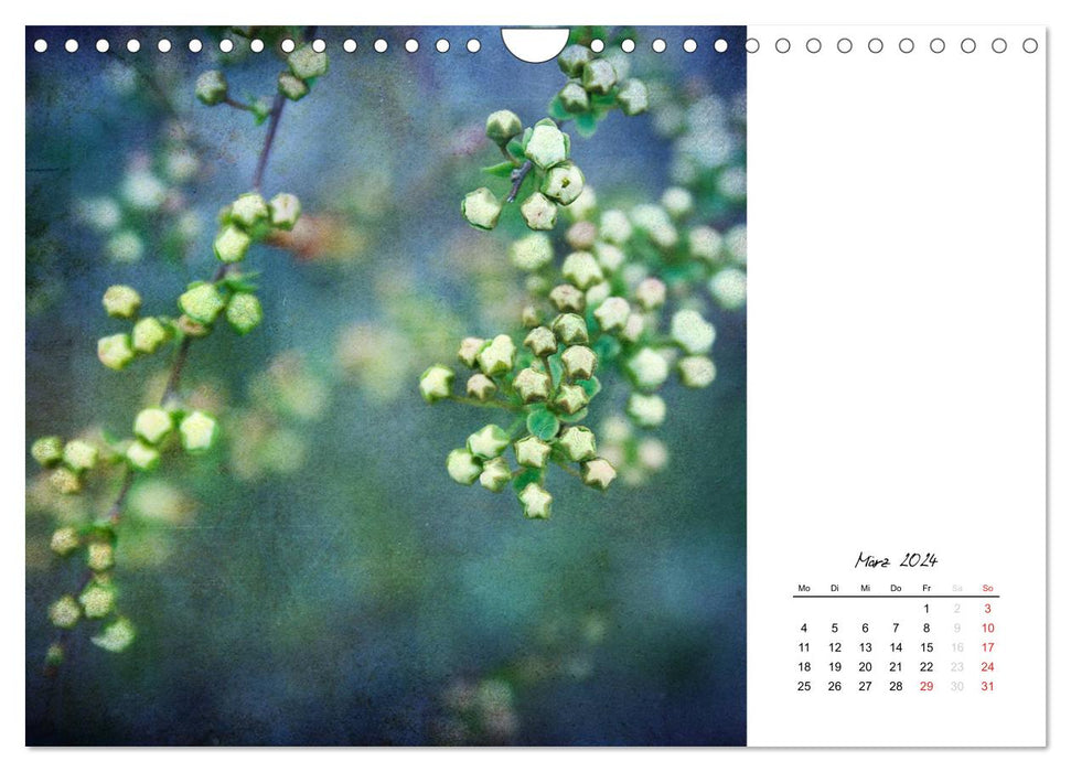 Kalender 2024 (CALVENDO Wandkalender 2024) — calvendoverlag
