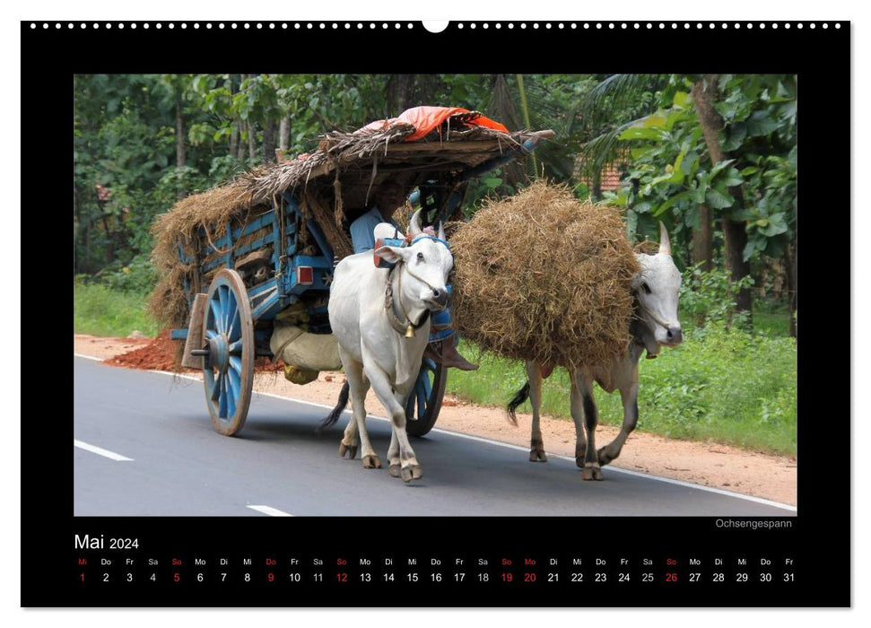 Sri Lanka Impressionen (CALVENDO Wandkalender 2024)