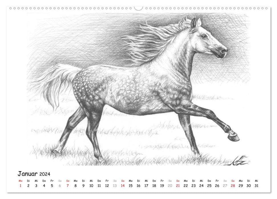 Arts & Horses (CALVENDO Wandkalender 2024)