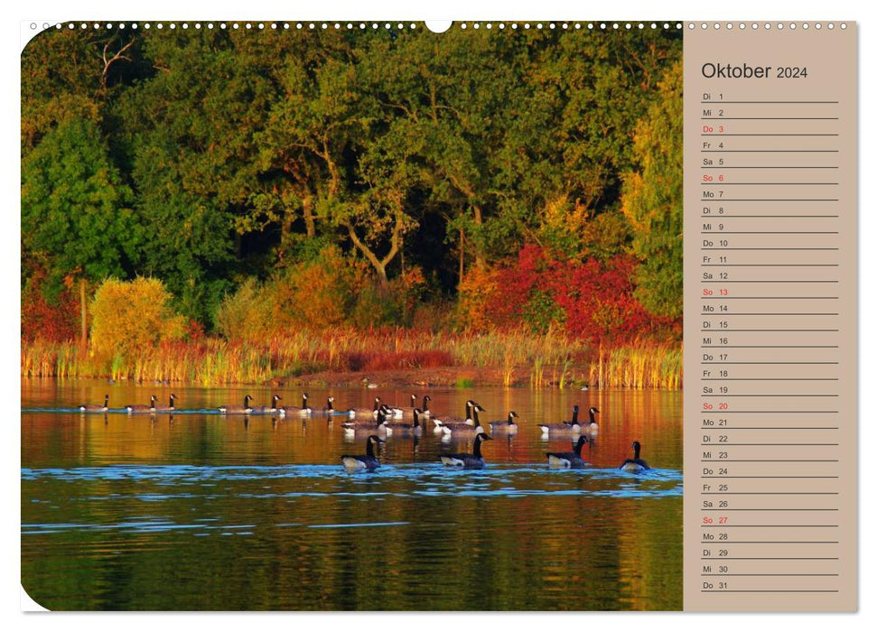 Natur Bilder Kalender (CALVENDO Wandkalender 2024)