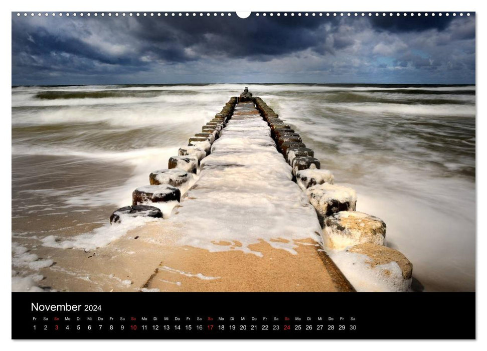 Natur und Meer auf dem Darß (CALVENDO Premium Wandkalender 2024)