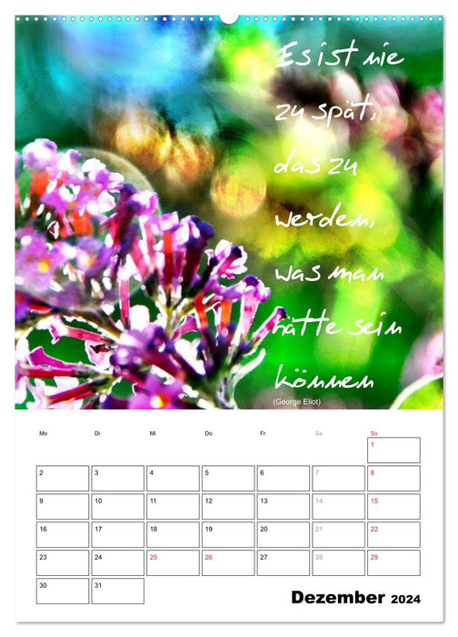 Sayings and wisdom for the year (CALVENDO wall calendar 2024) 