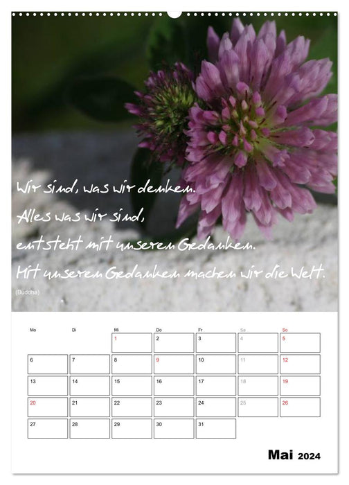 Sayings and wisdom for the year (CALVENDO wall calendar 2024) 