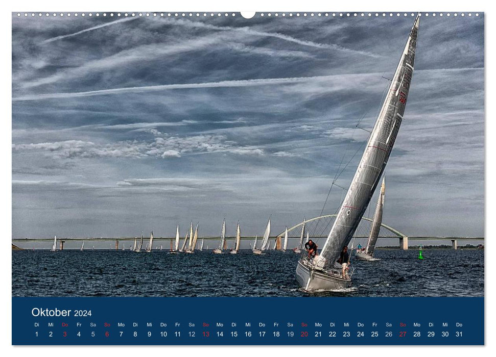 Segelregatta (CALVENDO Wandkalender 2024)