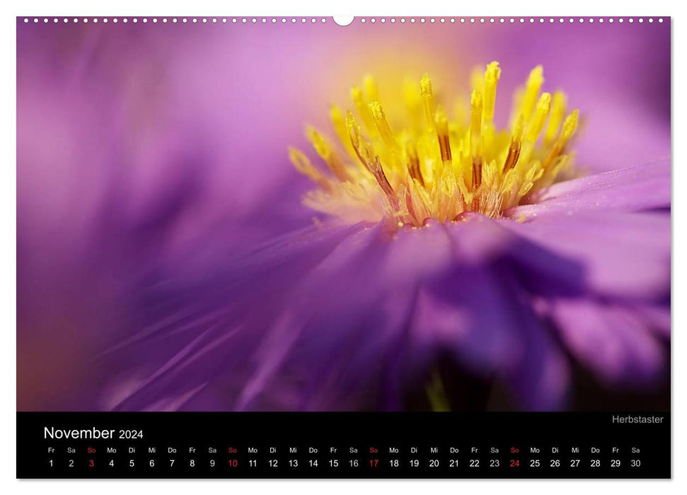 Flowery colors (CALVENDO wall calendar 2024) 