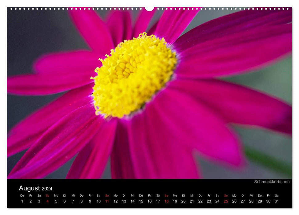 Flowery colors (CALVENDO wall calendar 2024) 