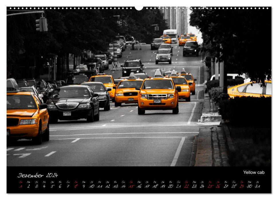 Views of a city: New York (CALVENDO Premium Wall Calendar 2024) 