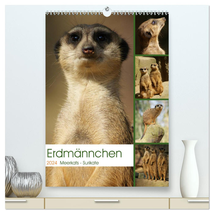 Meerkat Meerkats Suricates (CALVENDO Premium Wall Calendar 2024) 