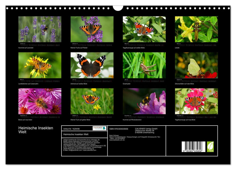 Local insect worlds (CALVENDO wall calendar 2024) 