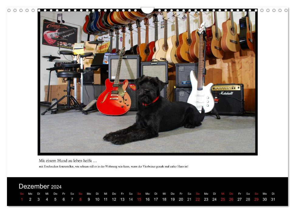 Living with a dog means... (CALVENDO wall calendar 2024) 