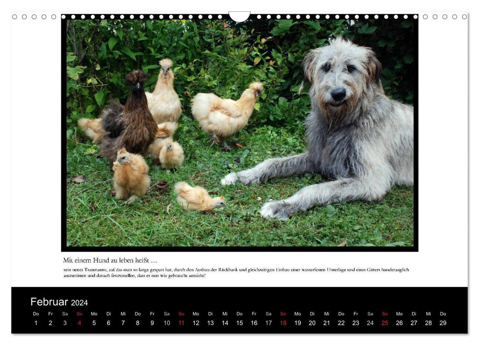 Living with a dog means... (CALVENDO wall calendar 2024) 