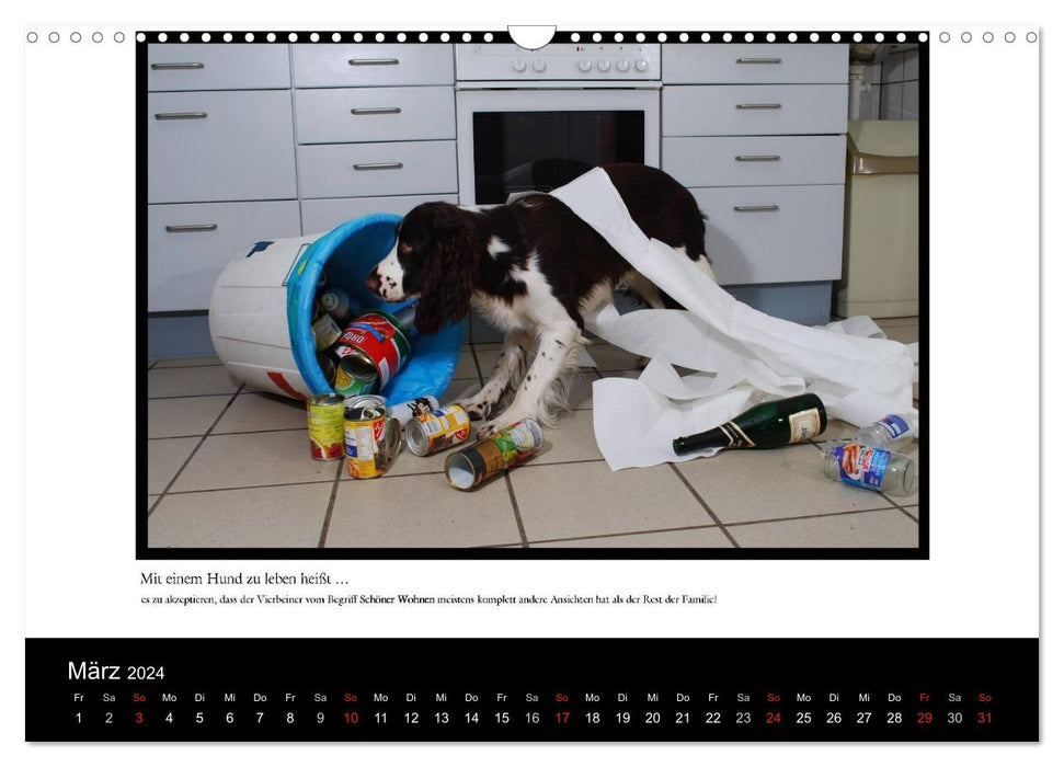 Mit einem Hund zu leben heißt ... (CALVENDO Wandkalender 2024)