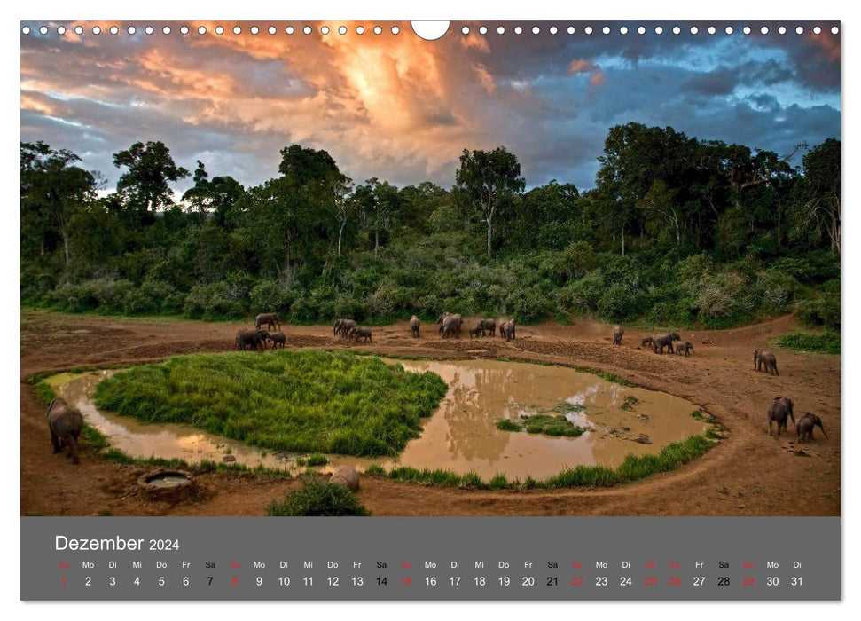 I dreamed of Africa (CALVENDO wall calendar 2024) 