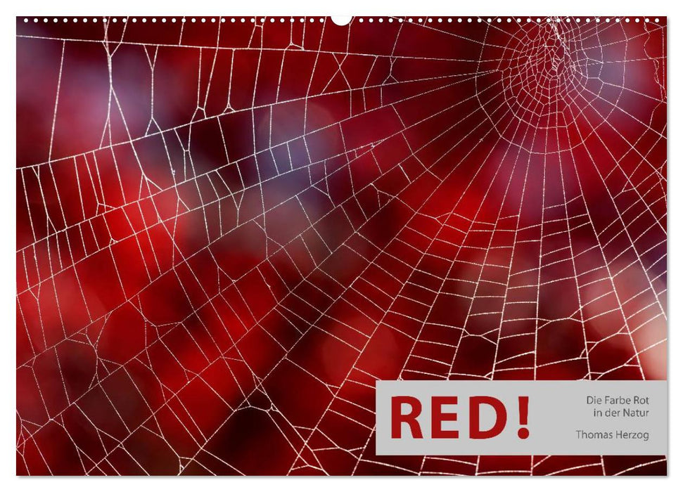 RED! (CALVENDO Wandkalender 2024)