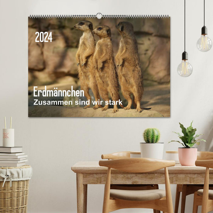 Erdmännchen – Zusammen sind wir stark (CALVENDO Wandkalender 2024)