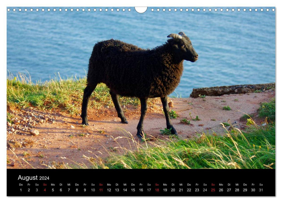 Deep sea island of Helgoland (CALVENDO wall calendar 2024) 