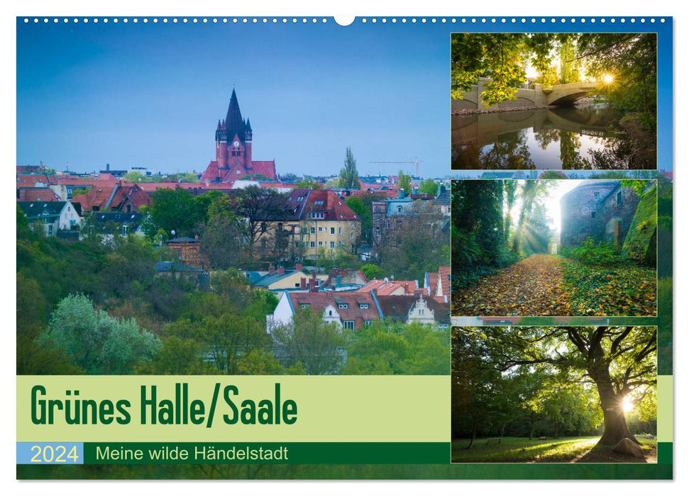Grünes Halle/Saale - Meine wilde Händelstadt (CALVENDO Wandkalender 2024)