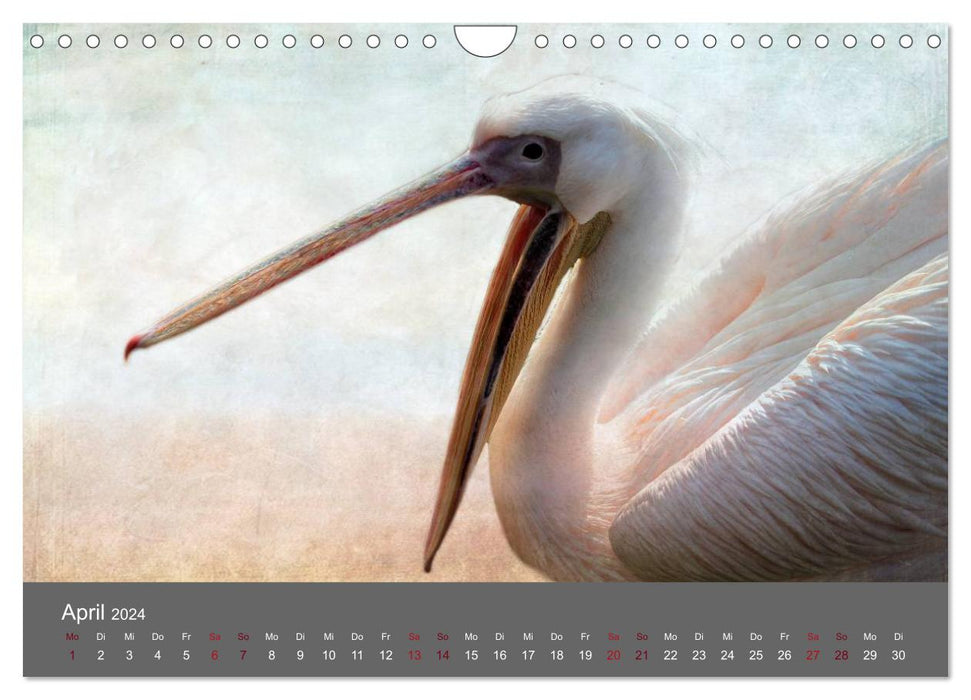 Tierkalender (CALVENDO Wandkalender 2024)