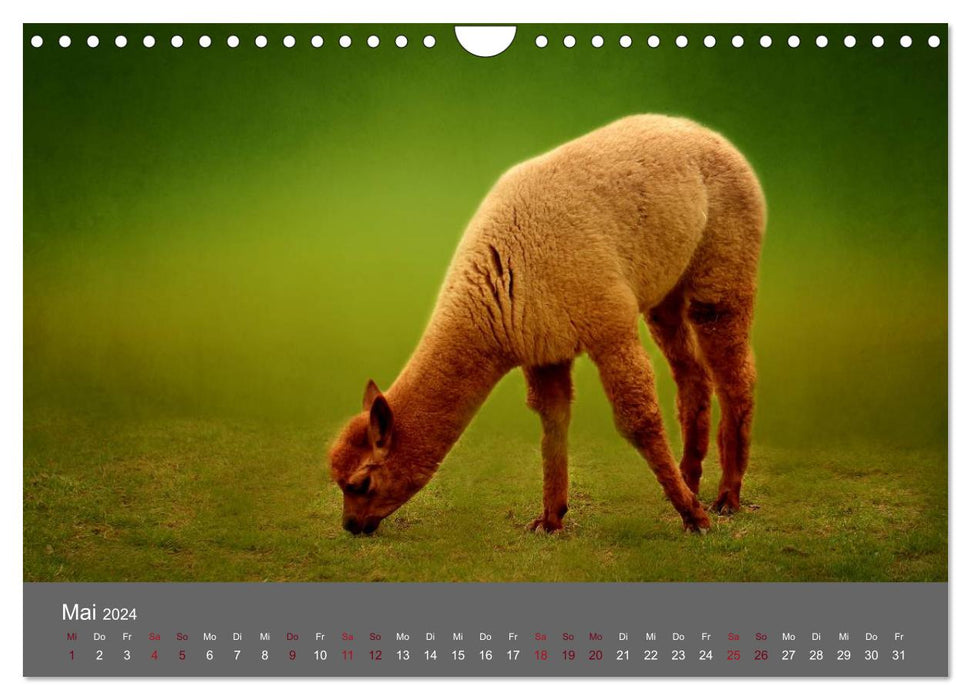 Tierkalender (CALVENDO Wandkalender 2024)