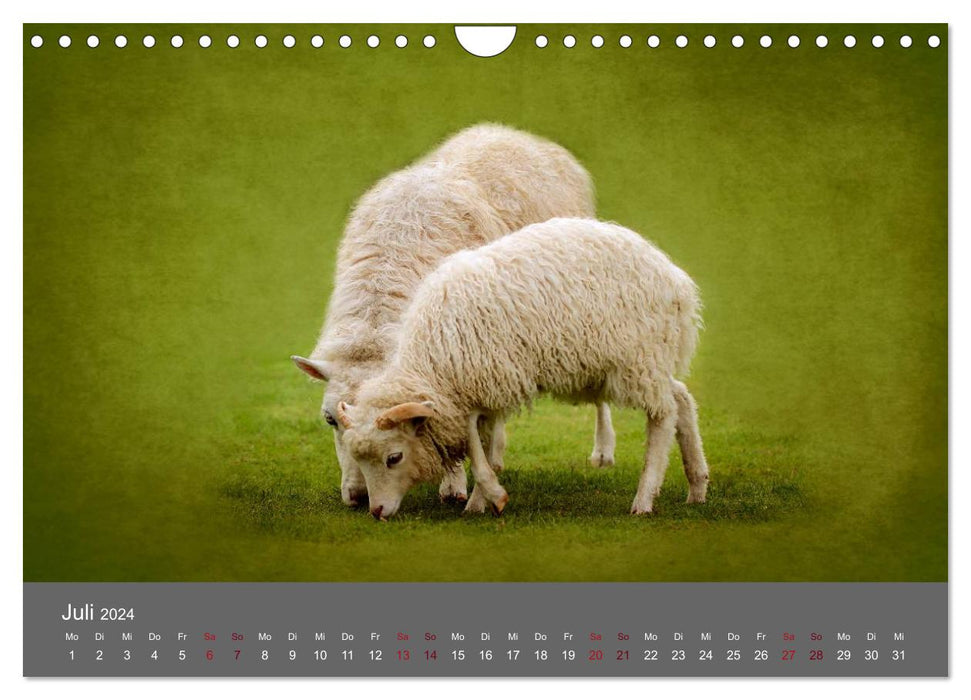 Tierkalender (CALVENDO Wandkalender 2024)