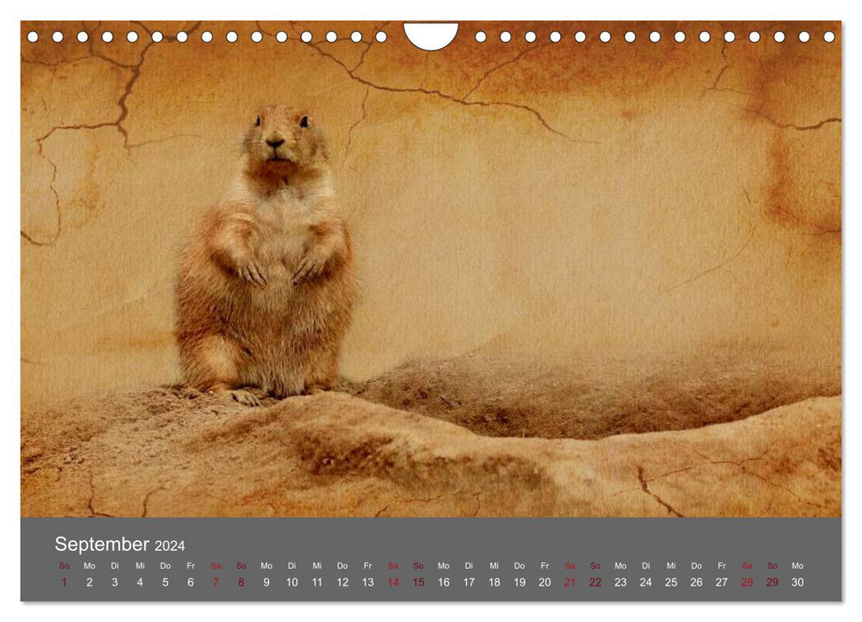 Tierkalender (CALVENDO Wandkalender 2024)